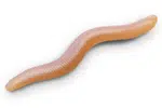 Delphin umělá nástraha b! stinxworm 4 cm 50 ks - skiny / shrimp