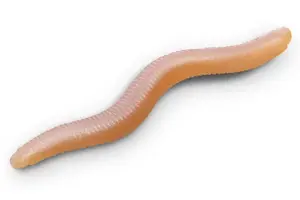 Delphin umělá nástraha b! stinxworm 4 cm 50 ks - skiny / shrimp