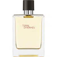 HERMÈS Terre d’Hermès toaletní voda pro muže 100 ml