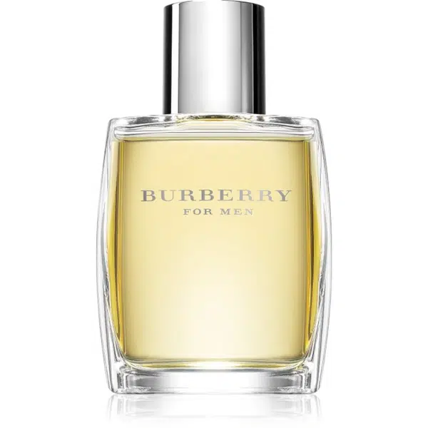 Burberry Burberry for Men toaletní voda pro muže 50 ml