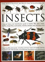 The Illustrated World Encyclopaedia of Insects - Martin Walters