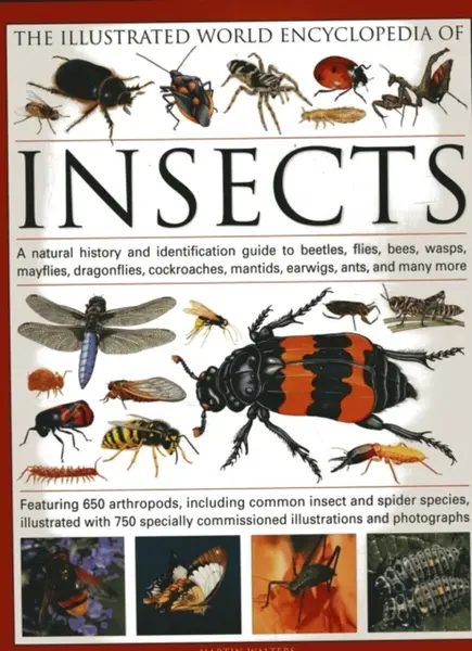 The Illustrated World Encyclopaedia of Insects - Martin Walters