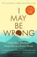 I May Be Wrong - Björn Lindeblad