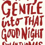 Do Not Go Gentle Into That Good Night - Dylan Thomas
