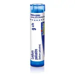 Ledum palustre 9CH granule 1x4g
