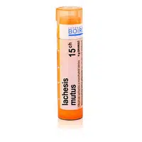 Lachesis mutus 15CH granule 4g
