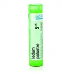 Ledum palustre 5CH granule 1x4g