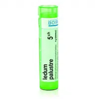 Ledum palustre 5CH granule 1x4g