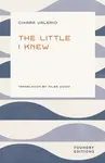 The Little I Knew - Chiara Valerio