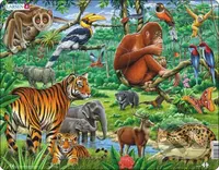 Džungľa (FH24) - puzzle z kategorie Naučné puzzle