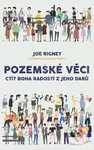 Pozemské věci - Joe Rigney - kniha z kategorie Křesťanství