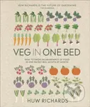 Veg in One Bed (How to Grow an Abundance of Food in One Raised Bed, Month by Month) - kniha z kategorie Dům, byt a zahrada