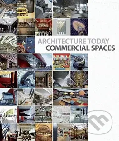 Architecture Today (Commercial Spaces) - David Andreu - kniha z kategorie Architektura