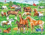 Kone - rôzne druhy (FH50) (Beautiful horses of different breeds, colours and sizes) - puzzle z kategorie Naučné puzzle