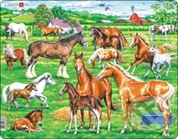 Kone - rôzne druhy (FH50) (Beautiful horses of different breeds, colours and sizes) - puzzle z kategorie Naučné puzzle