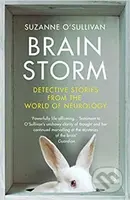 Brainstorm: Detective Stories From the World of Neurology - kniha z kategorie Medicína