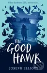 The Good Hawk - Joseph Elliott - kniha z kategorie Sci-fi, fantasy a komiksy