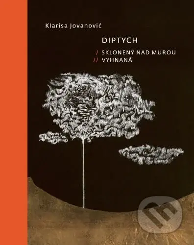 Diptych (Sklonený nad Murou, Vyhnaná) - Klarisa Jovanović - kniha z kategorie Poezie