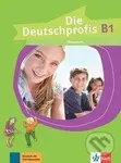 Die Deutschprofis B1. Übungsbuch - Olga Swerlowa - kniha z kategorie Jazykové učebnice a slovníky