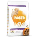 IAMS Dog Puppy Large Chicken 12kg
