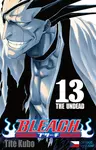 Bleach 13