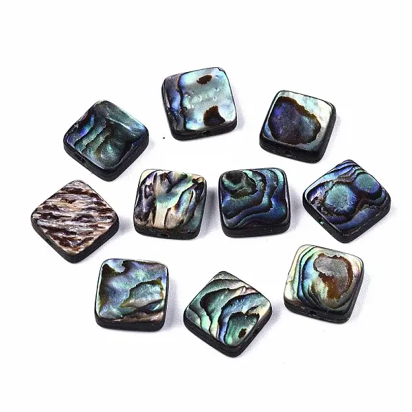 Natural Abalone Shell/Paua Shell Beads