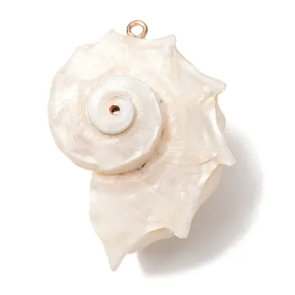 Natural Conch Shell Pendants