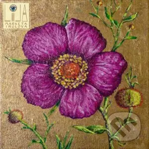 Markéta Irglová: Lila (Coloured) LP