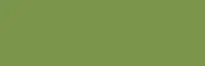 Brush pen Ecoline 657 Bronze Green