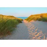 FOTOTAPETA velikost: 368/254 cm