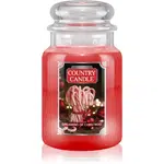 Country Candle Dreaming of Christmas vonná sviečka 737 g