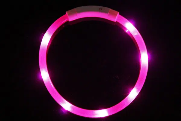 Reedog Easy Light USB nabíjací svietiaci obojok pre psy a mačky - ružová