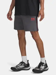 Men's shorts Under Armour UA Icon Fleece Short Taping-GRY - Men's