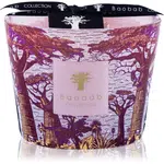 Baobab Collection Sacred Trees Massasso vonná sviečka 10 cm