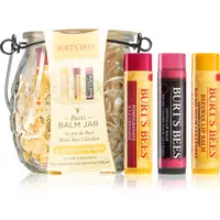 Burt’s Bees Balm Jar darčeková sada na pery
