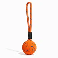 Cheerble Wicked Ball Air Rope | Hračky pre psov