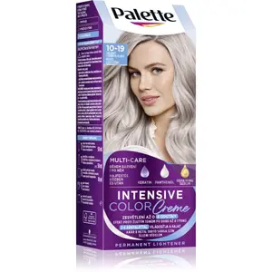 Schwarzkopf Palette Intensive Color Creme permanentní barva na vlasy odstín 10-19 Cool Silver Blonde 1 ks