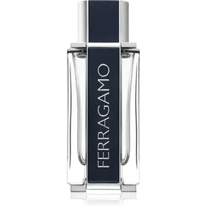 Ferragamo Ferragamo toaletní voda pro muže 100 ml