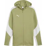 Puma TEAMEVOSTRIPE HOODED JACKET Pánska bunda, zelená, veľkosť