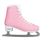 Dámské zimní brusle inSPORTline Ireli 36