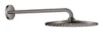 Grohe Rainshower - Hlavová sprcha, priemer 31 cm, Hard Graphite 26558A00