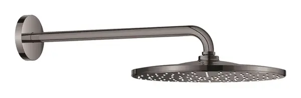 Grohe Rainshower - Hlavová sprcha, priemer 31 cm, Hard Graphite 26558A00