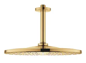 Grohe Rainshower Mono - Hlavová sprcha, průměr 31 cm, Cool Sunrise 26560GL0