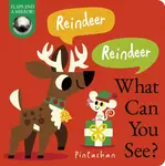 Reindeer! Reindeer! What Can You See? - Dee  Costello