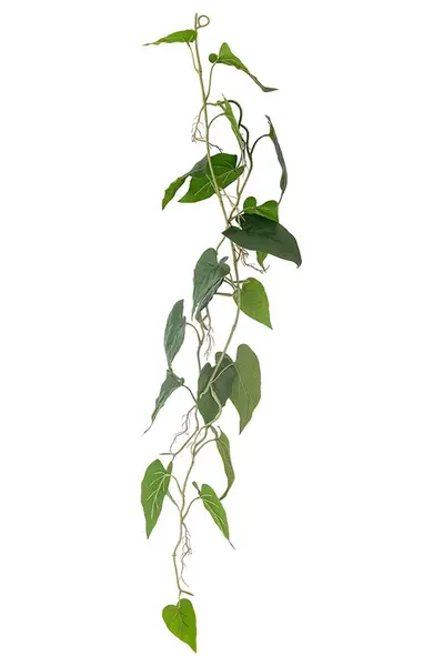 Umělá rostlina Bloomingville Anthurium Plant