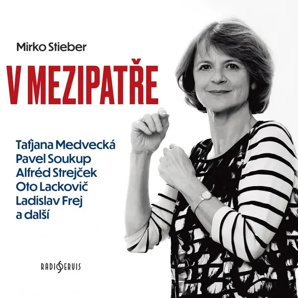 V mezipatře - Stieber Mirko - audiokniha