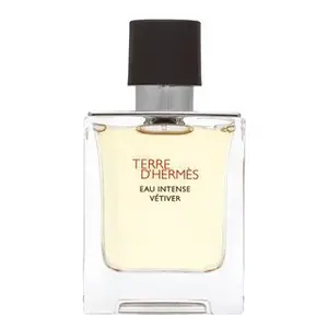 Hermes Terre D'Hermes Eau Intense Vetiver parfémovaná voda pro muže 50 ml