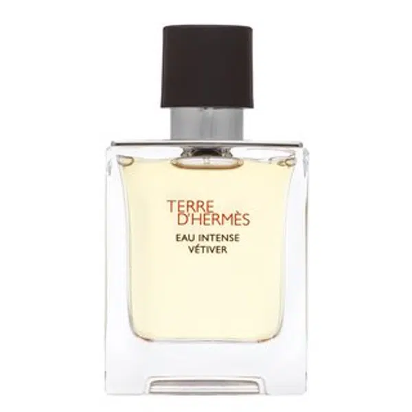 Hermes Terre D'Hermes Eau Intense Vetiver parfémovaná voda pro muže 50 ml
