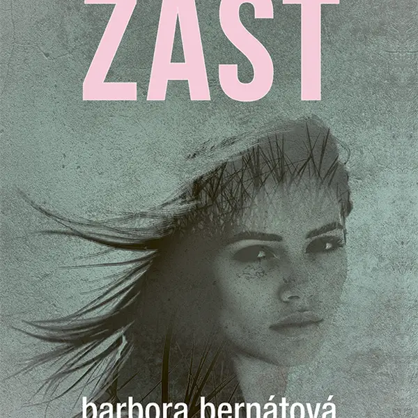 E-kniha: Zášť od Bernátová Barbora