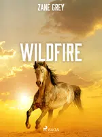 Wildfire - Loren Zane Grey - e-kniha